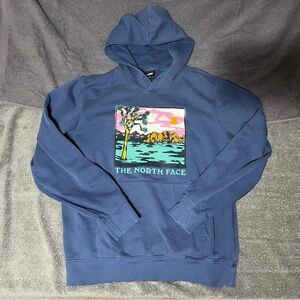 Men’s Large The North Face Injection Graphic Hoodie Shady Blue/ Wasabi